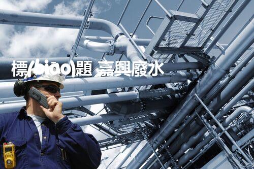標(biāo)題 嘉興廢水處理廠家：解密行業(yè)隱形冠軍？
